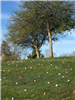 Easter Egg Hunt