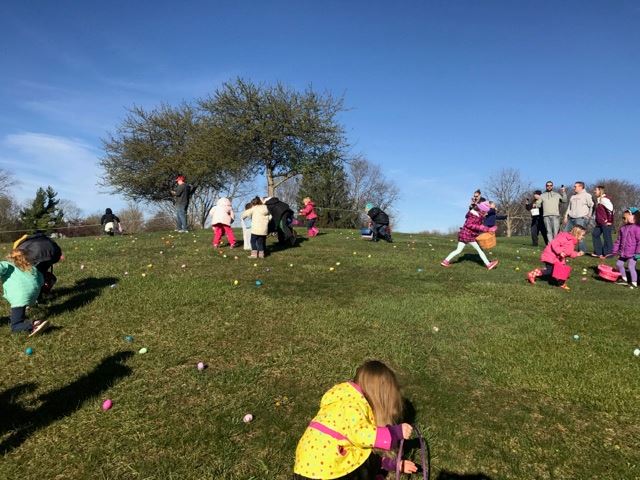 Easter Egg Hunt